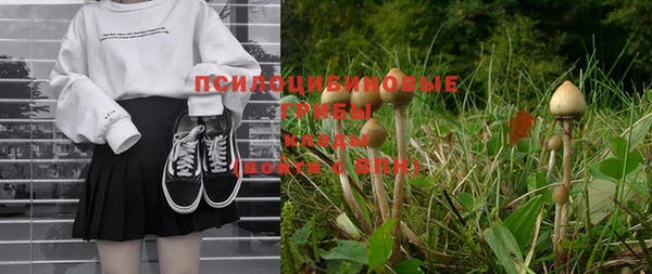 mix Алексин